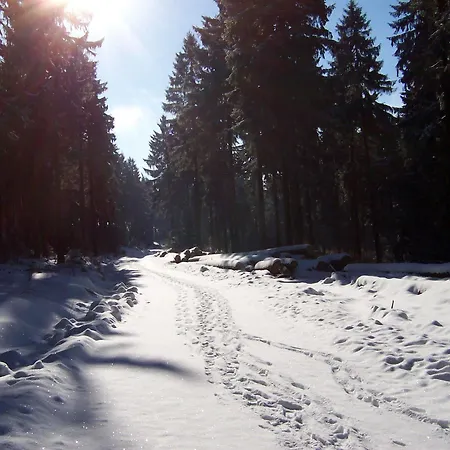 Berghof Am See Hotel Lautenthal